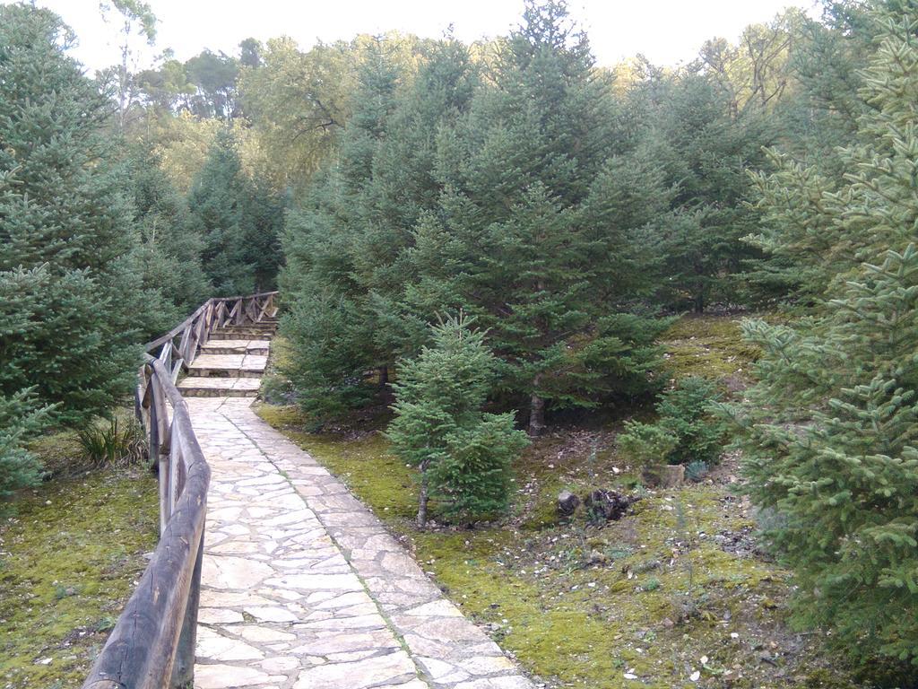 埃尔博斯克 Casa Paco旅馆 外观 照片